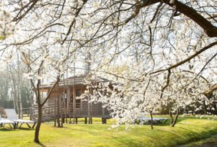 Sauna Thermen Zuidwolde
