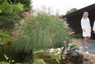 Sauna & Bodycare Apeldoorn